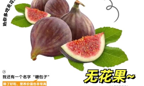 春芽的功效-春牙的功效与作用及禁忌症、春芽菜的功效与作用 -春牙的功效网