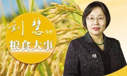 春牙的吃法-春牙的功效与作用及禁忌症、春芽菜的功效与作用 -春牙的功效网