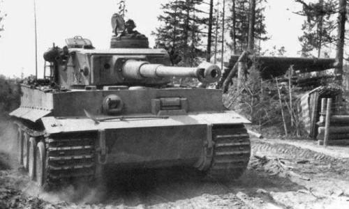 春芽的功效-春牙的功效与作用及禁忌症、春芽菜的功效与作用 -春牙的功效网